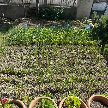 Gafko Apartmán Durrës
