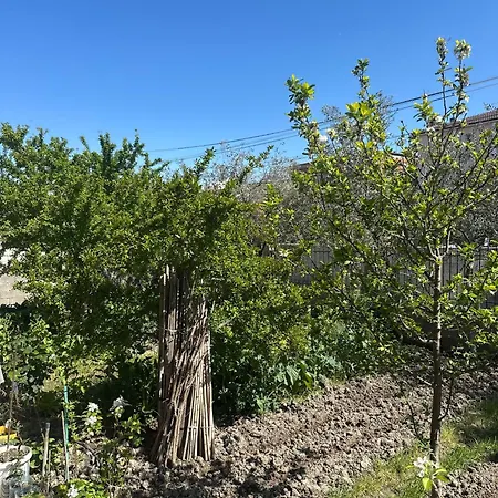 Apartmán Gafko Durrës